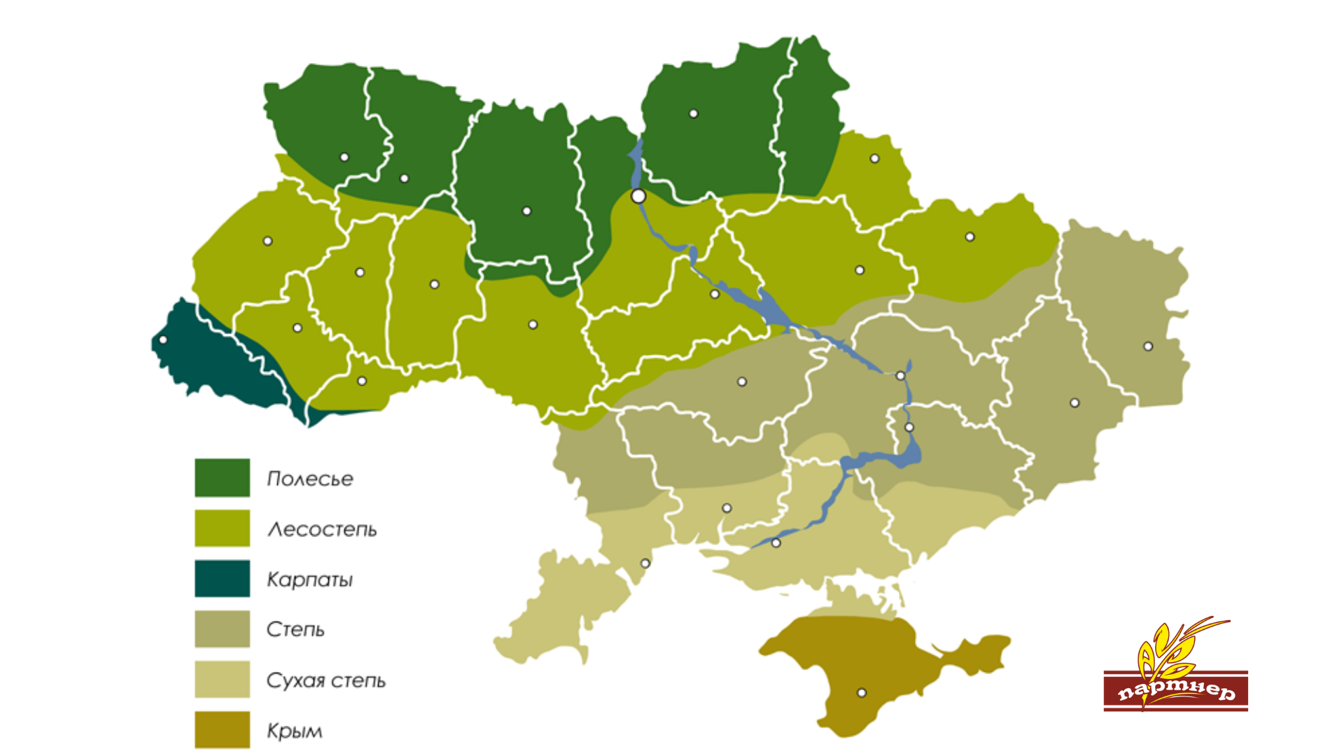 Добавить основной текст, копия, копия, копия (6).png