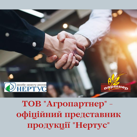 нертус картинка2.png